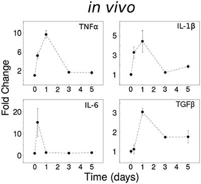 Novel Influences of IL-10 on CNS Inflammation Revealed by Integrated Analyses of Cytokine Networks and Microglial Morphology